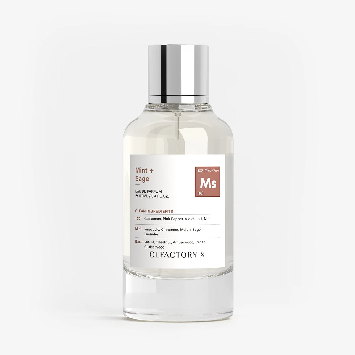 Mint + Sage by Olfactory X, 3.4 oz Eau De Parfum Spray for Unisex